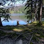 Panorama 329