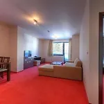 Panorama 329