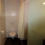 Panorama 329