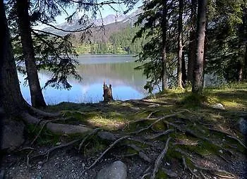 Panorama 329